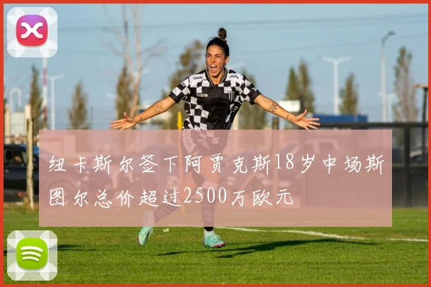 纽卡斯尔签下阿贾克斯18岁中场斯图尔总价超过2500万欧元