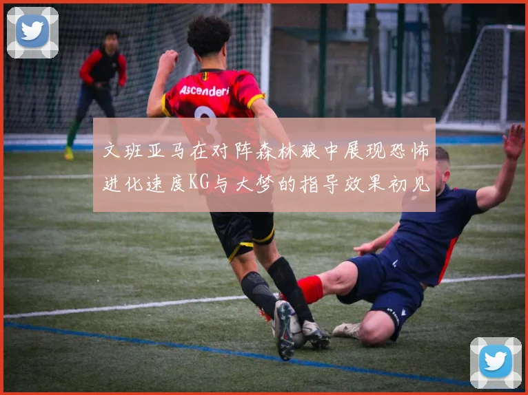文班亚马在对阵森林狼中展现恐怖进化速度KG与大梦的指导效果初见成效