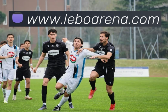 乐博体育服务体系