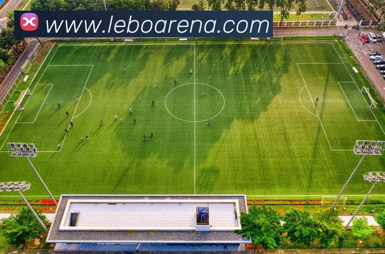 乐博体育APP 体育赛事宣传图